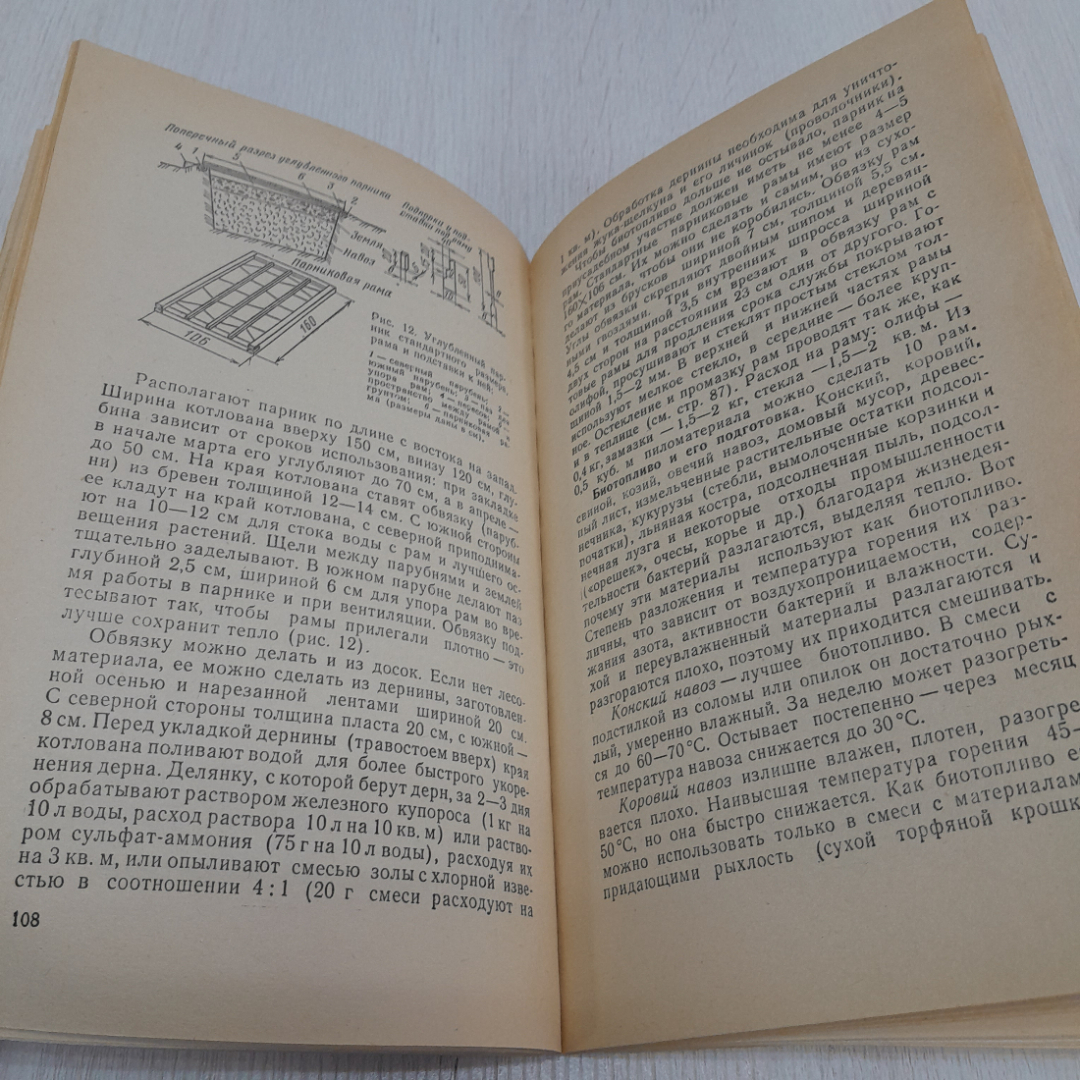 Советы огородникам, Е.А. Ченыкаева, А.И. Спиридонова, 1985г. СССР. Картинка 5