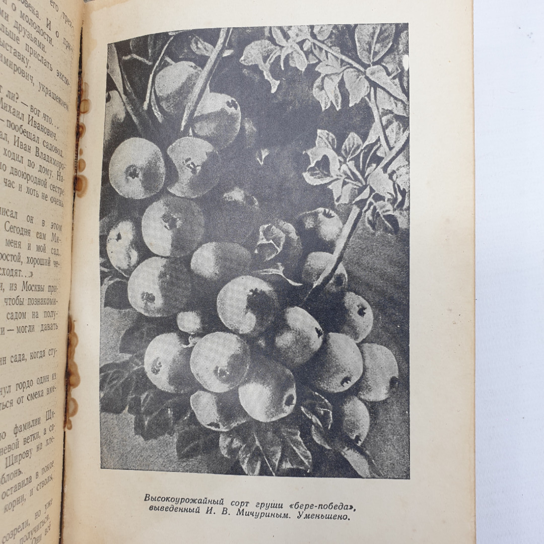 В. Лебедев "Преобразователь природы", издательство Детской литературы, 1948г.. Картинка 11