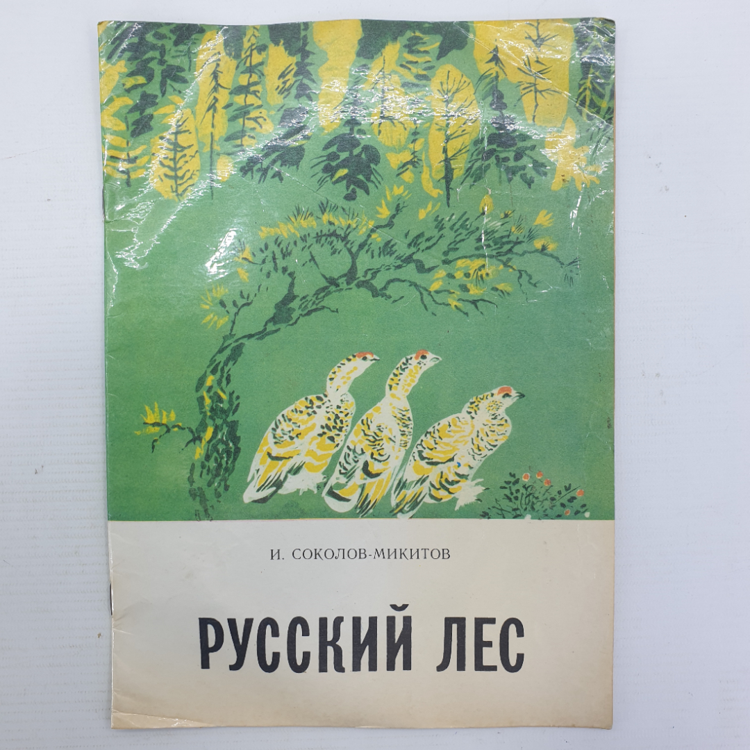 И. Соколов-Микитов "Русский лес", Лениздат, 1986г.. Картинка 1