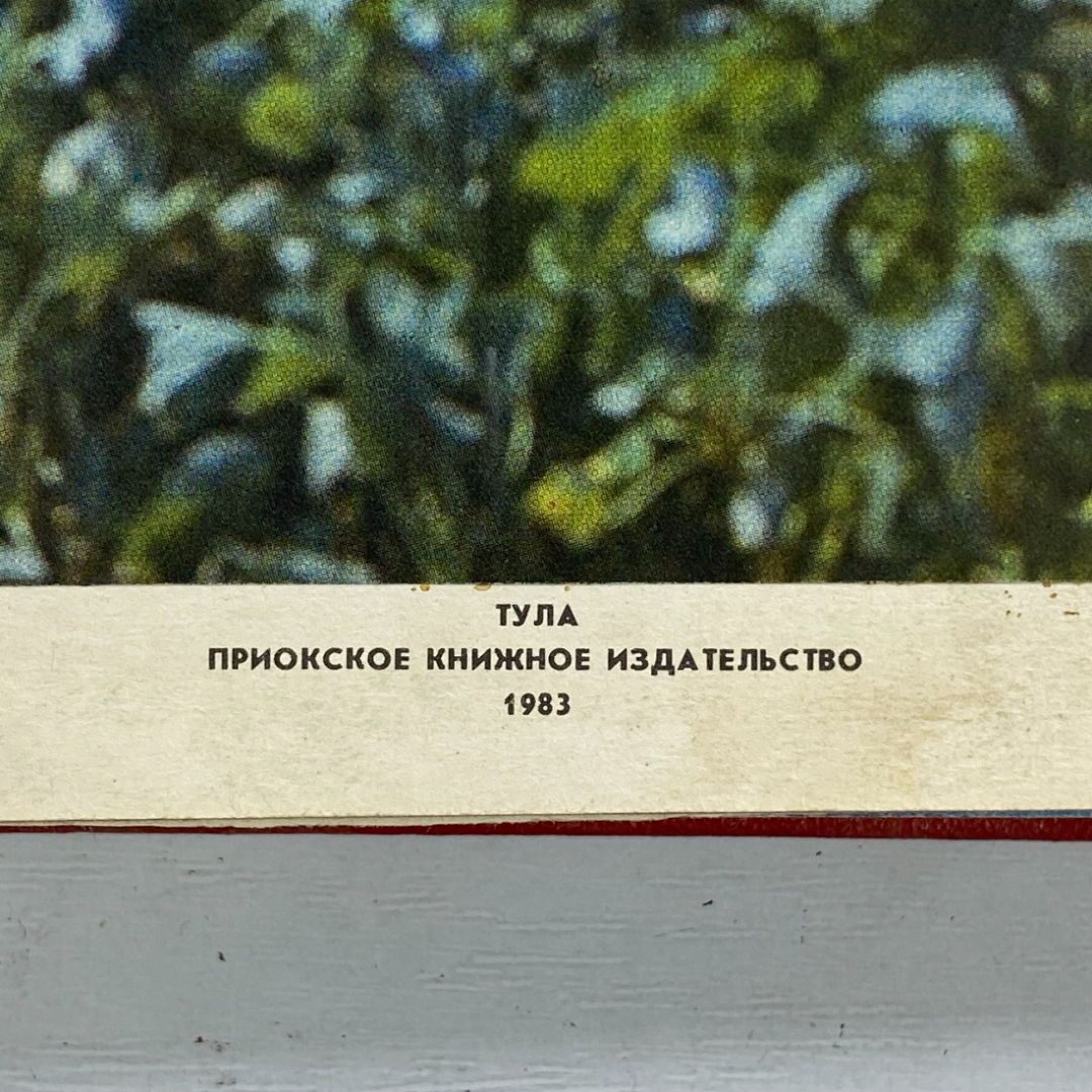 Фотокнига "Город первого салюта" СССР книга 1983 год. Город Орел.. Картинка 4