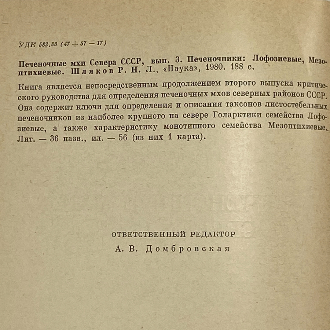 Картинка 5