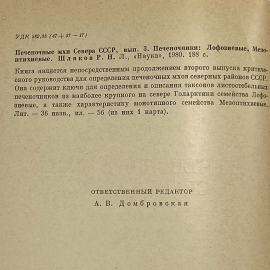 Картинка 5