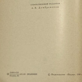 Картинка 6