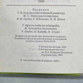 Картинка 5