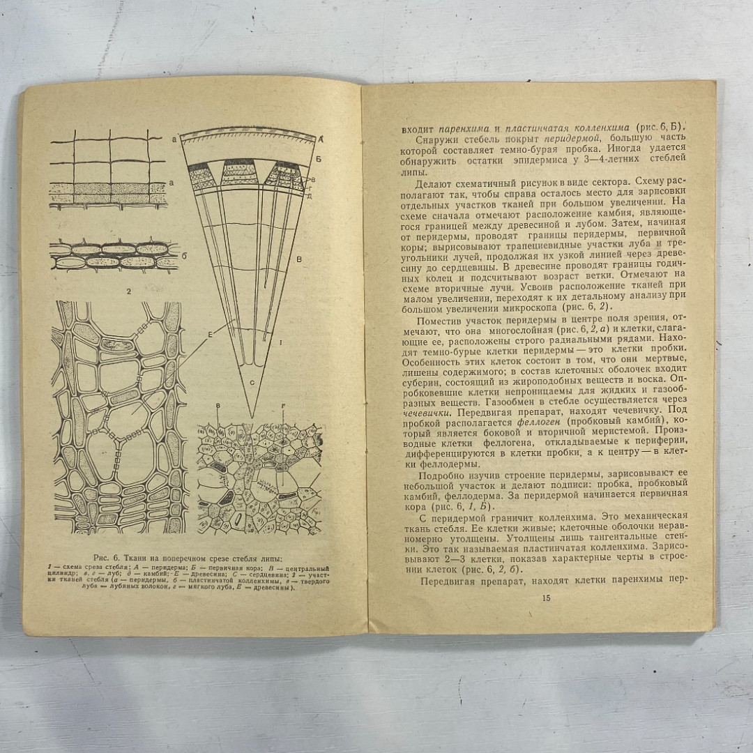 "Руководство к лабораторным занятиям по ботанике" СССР книга. Картинка 6