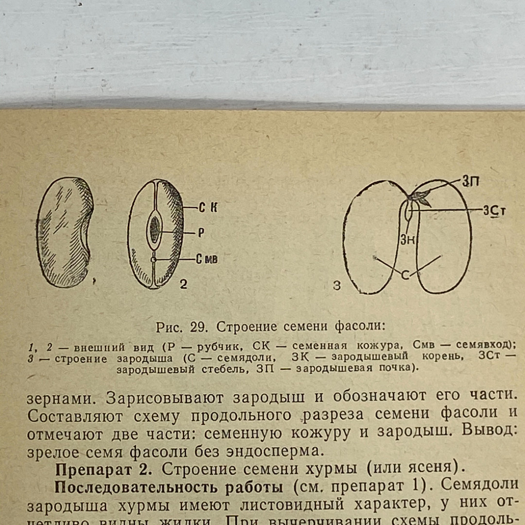 "Руководство к лабораторным занятиям по ботанике" СССР книга. Картинка 10