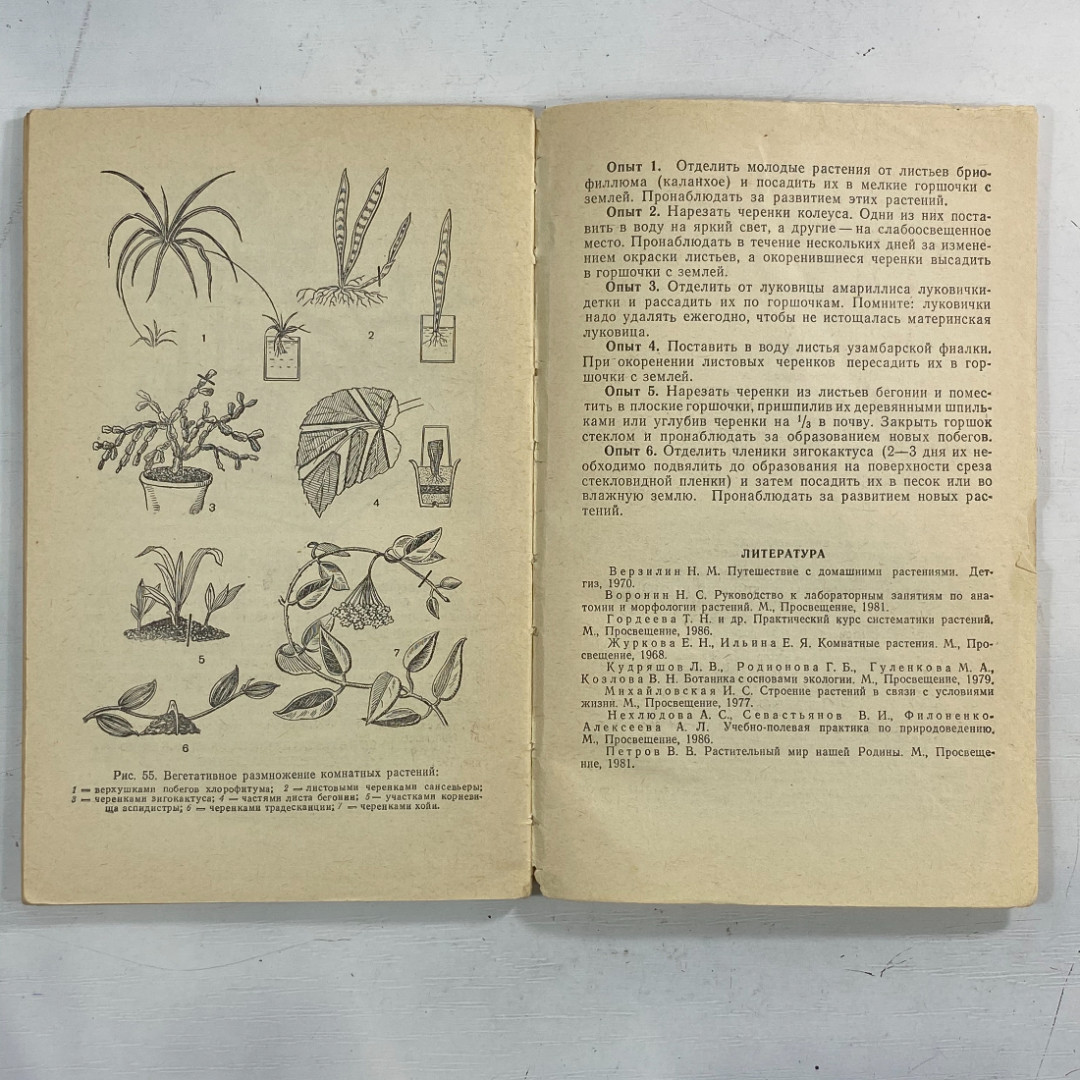 "Руководство к лабораторным занятиям по ботанике" СССР книга. Картинка 11
