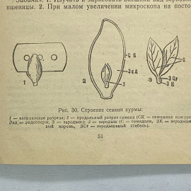 "Руководство к лабораторным занятиям по ботанике" СССР книга. Картинка 9