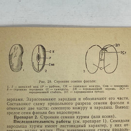 "Руководство к лабораторным занятиям по ботанике" СССР книга. Картинка 10