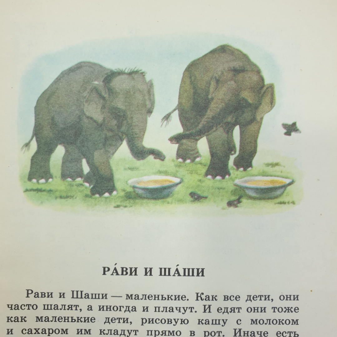 С. Баруздин "Рави и Шаши", Детская литература, Москва, 1986г.. Картинка 6