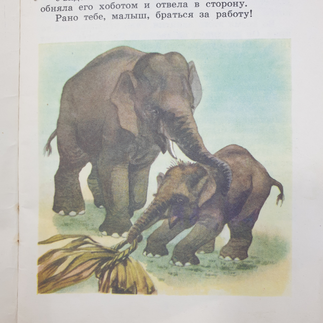 С. Баруздин "Рави и Шаши", Детская литература, Москва, 1986г.. Картинка 7