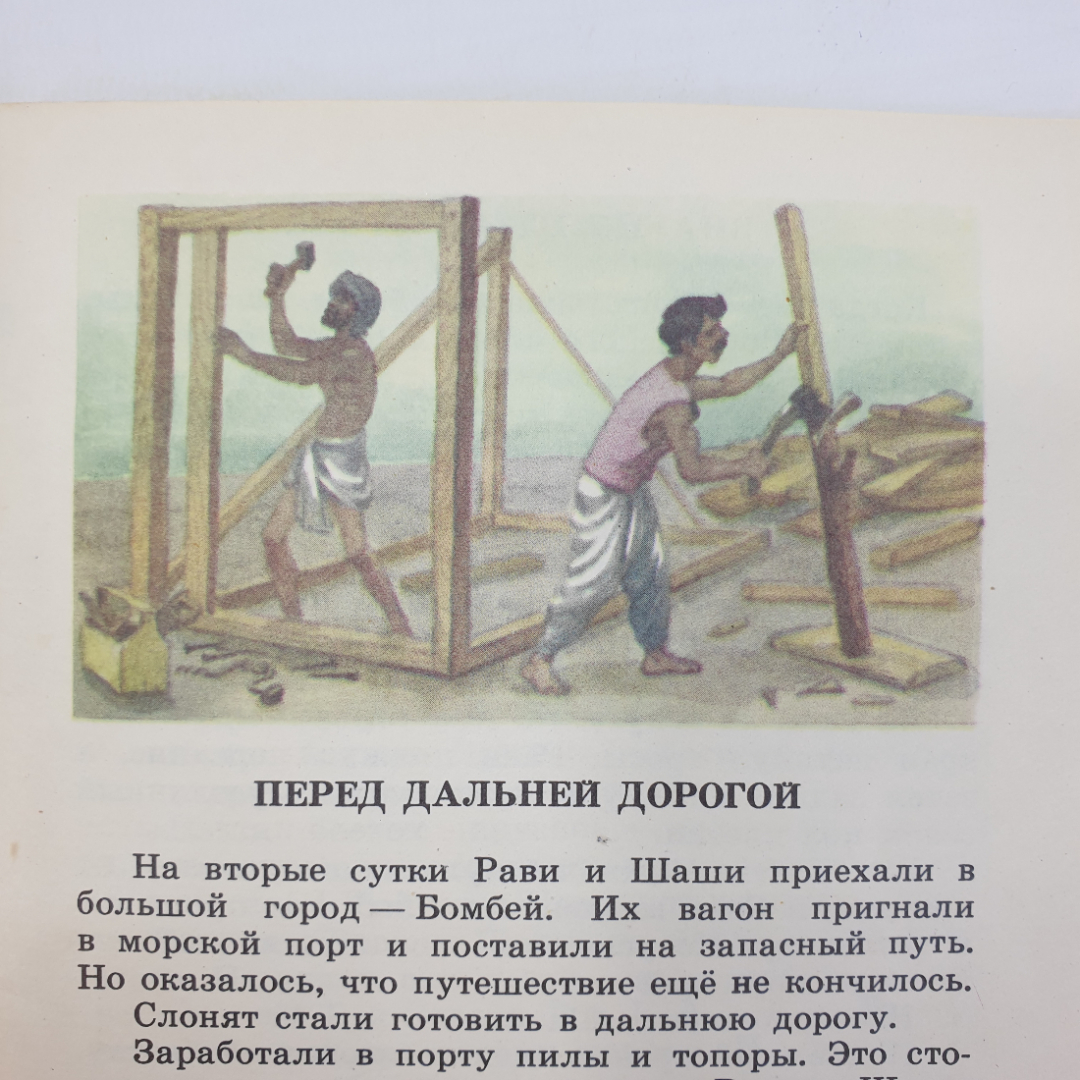 С. Баруздин "Рави и Шаши", Детская литература, Москва, 1986г.. Картинка 8