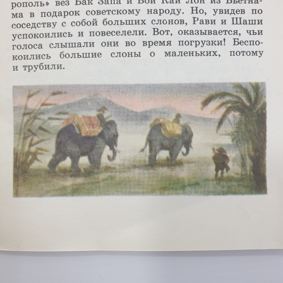 С. Баруздин "Рави и Шаши", Детская литература, Москва, 1986г.. Картинка 9