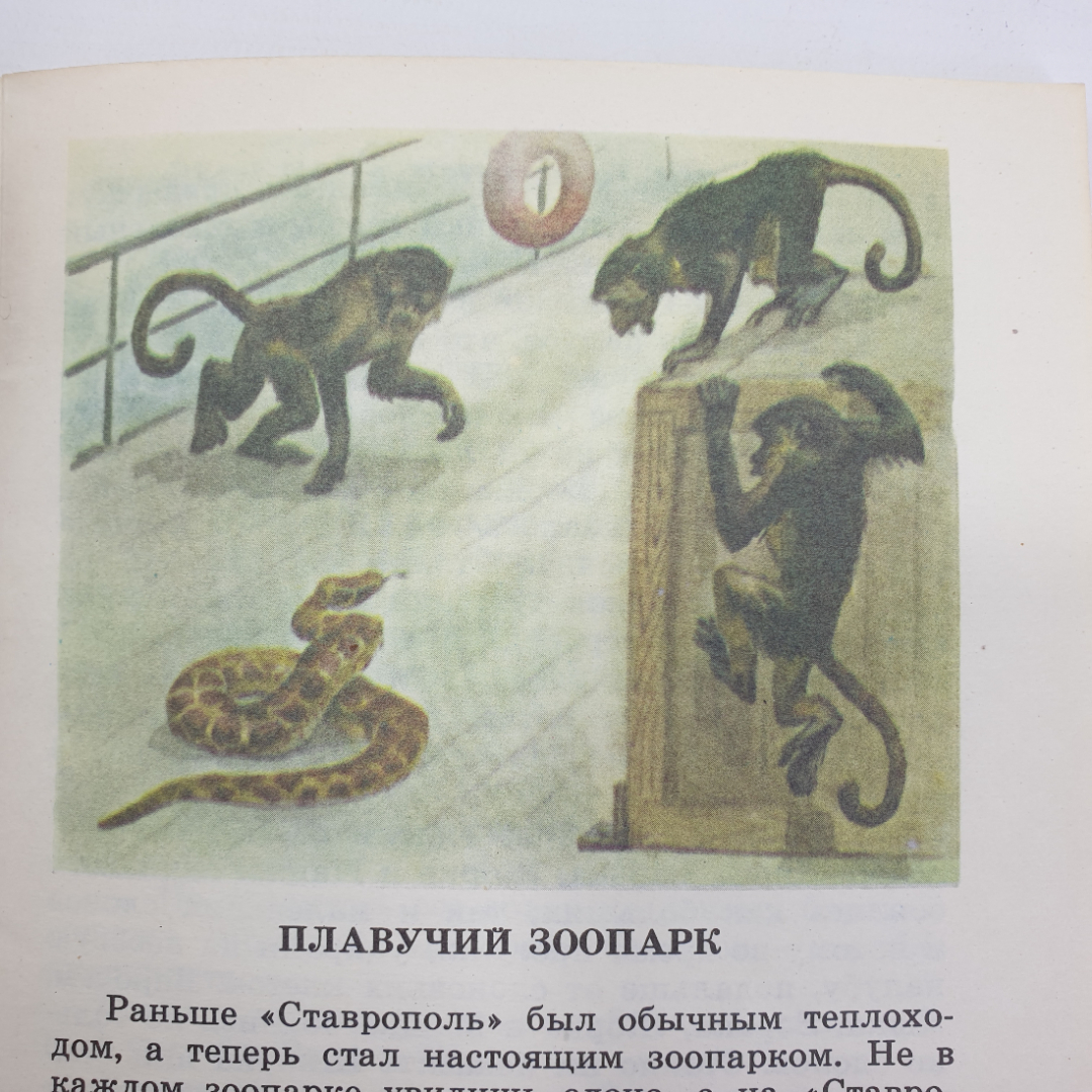 С. Баруздин "Рави и Шаши", Детская литература, Москва, 1986г.. Картинка 11
