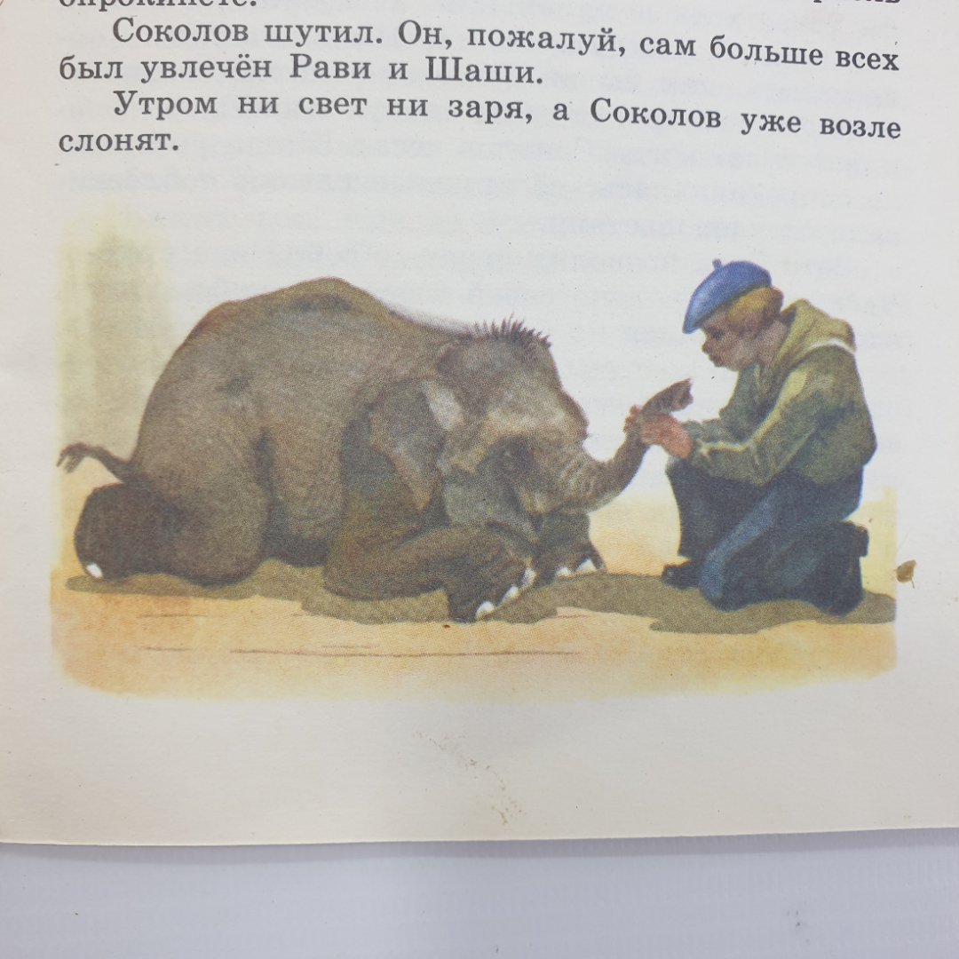 С. Баруздин "Рави и Шаши", Детская литература, Москва, 1986г.. Картинка 12