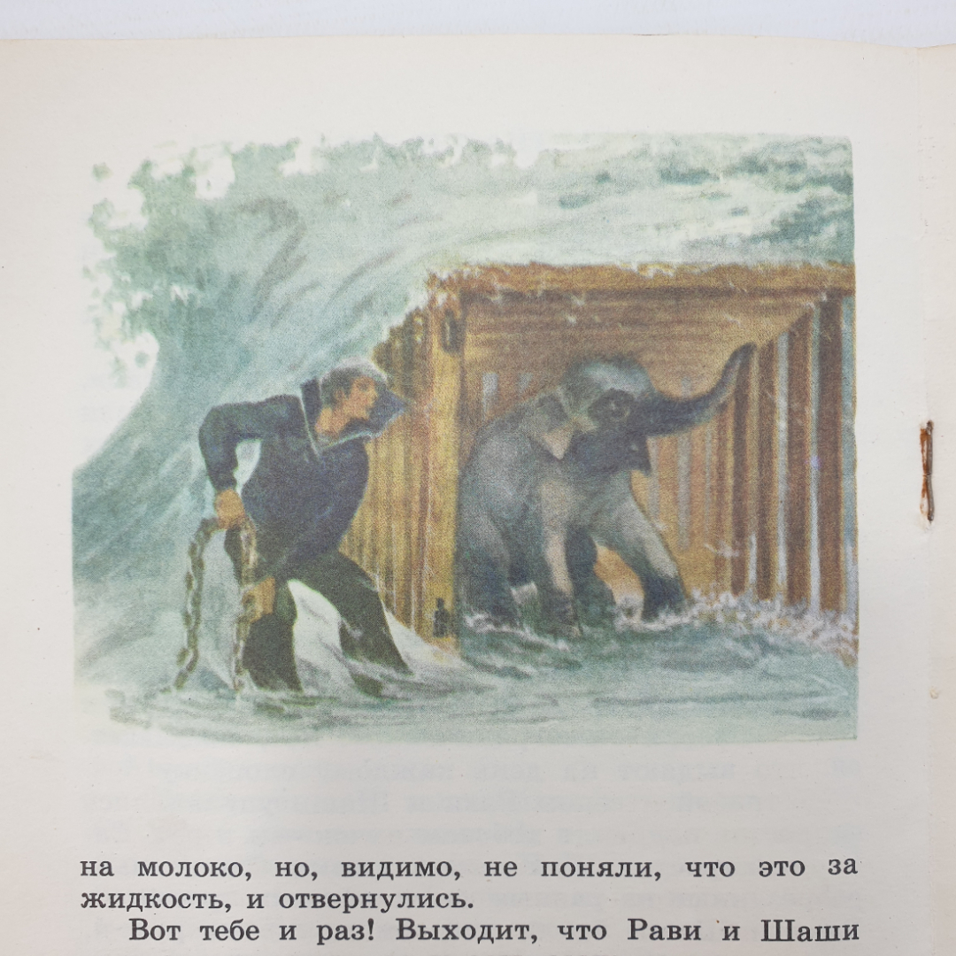 С. Баруздин "Рави и Шаши", Детская литература, Москва, 1986г.. Картинка 13