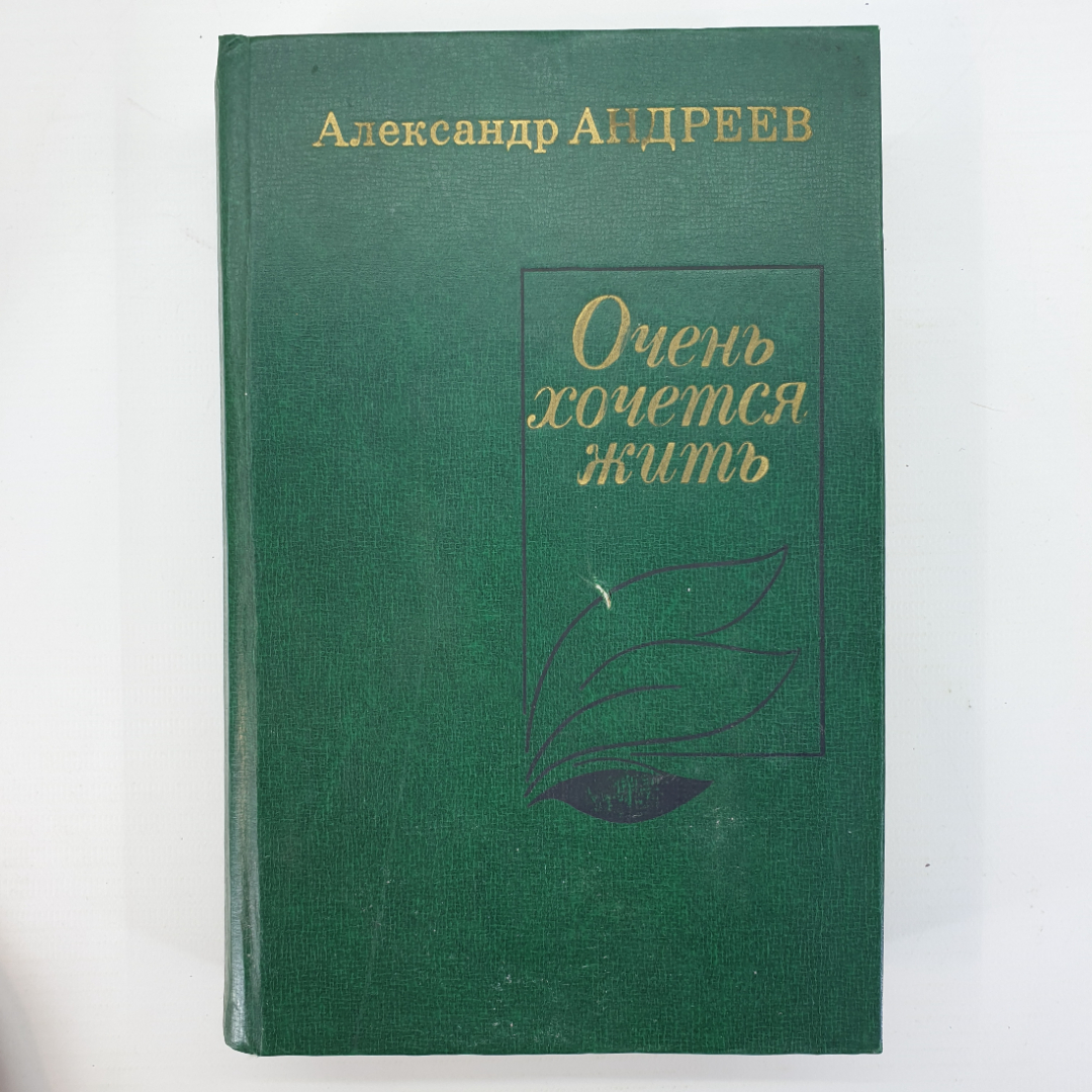 А. Андреев "Очень хочется жить". Картинка 1