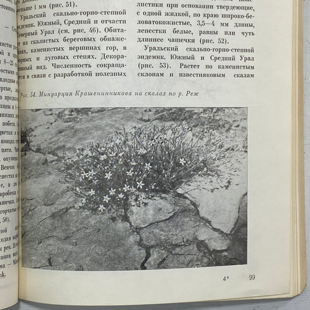 "Редкие и исчезающие растения Урала и Приуралья" СССР книга. Картинка 11