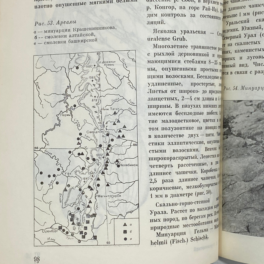 "Редкие и исчезающие растения Урала и Приуралья" СССР книга. Картинка 12