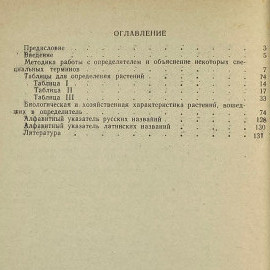 Картинка 7