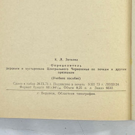 Картинка 8