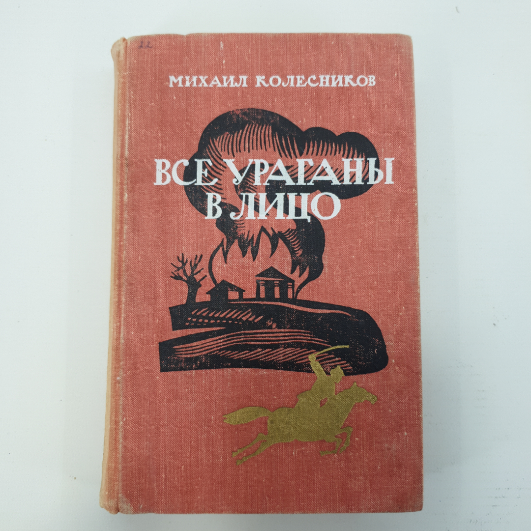 М. Колесников "Все ураганы в лицо". Картинка 1