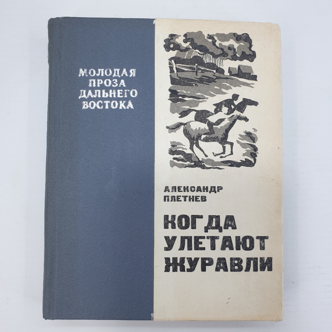 А. Плетнев "Когда улетают журавли". Картинка 1