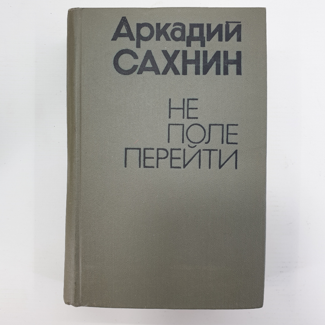 А. Сахнин "Не поле перейти". Картинка 1