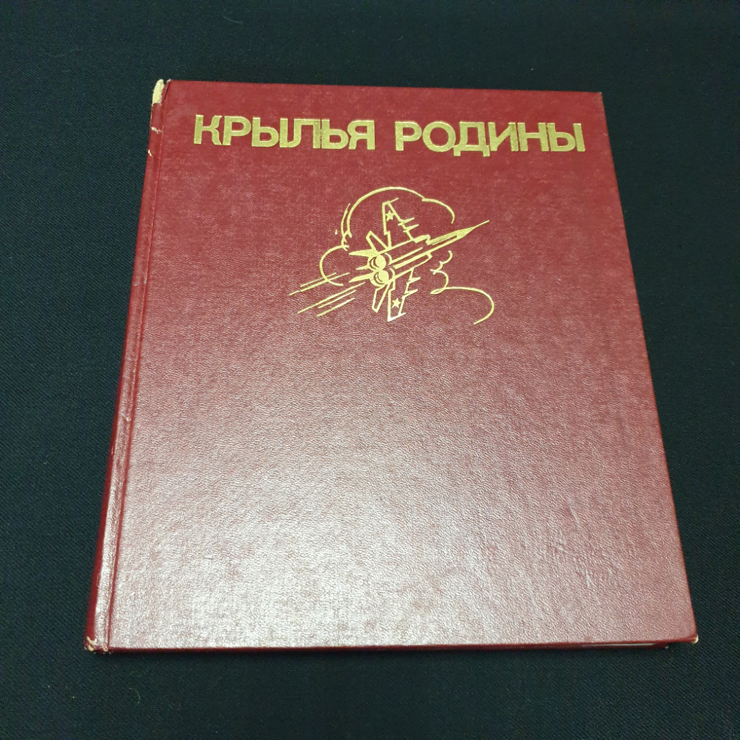 Крылья Родины, В.В. Рыбалка, Л.М. Шишов, 1983г. СССР. Картинка 1