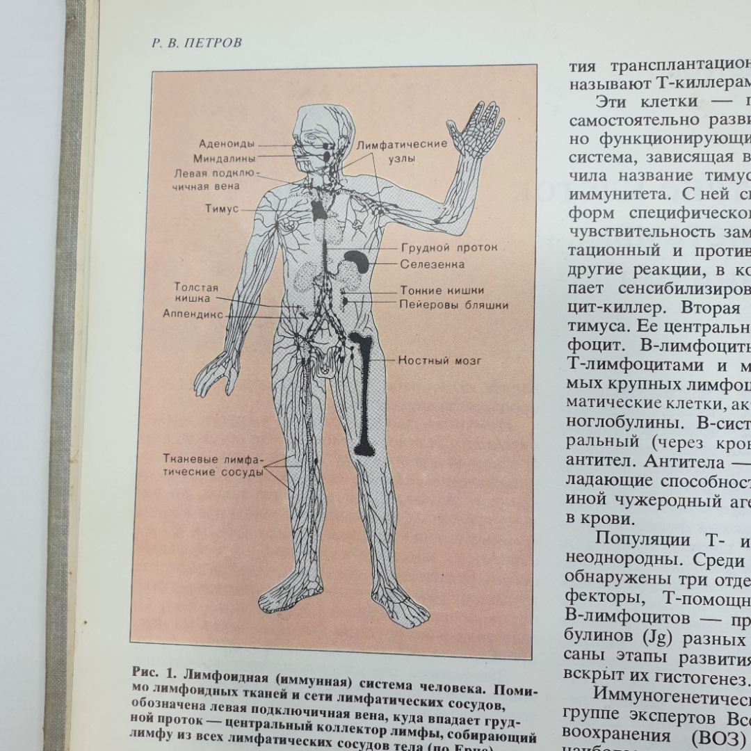 Международный ежегодник "Наука и человечество", издательство Знание, 1981г.. Картинка 6