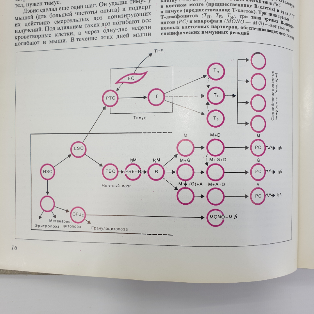 Международный ежегодник "Наука и человечество", издательство Знание, 1981г.. Картинка 8