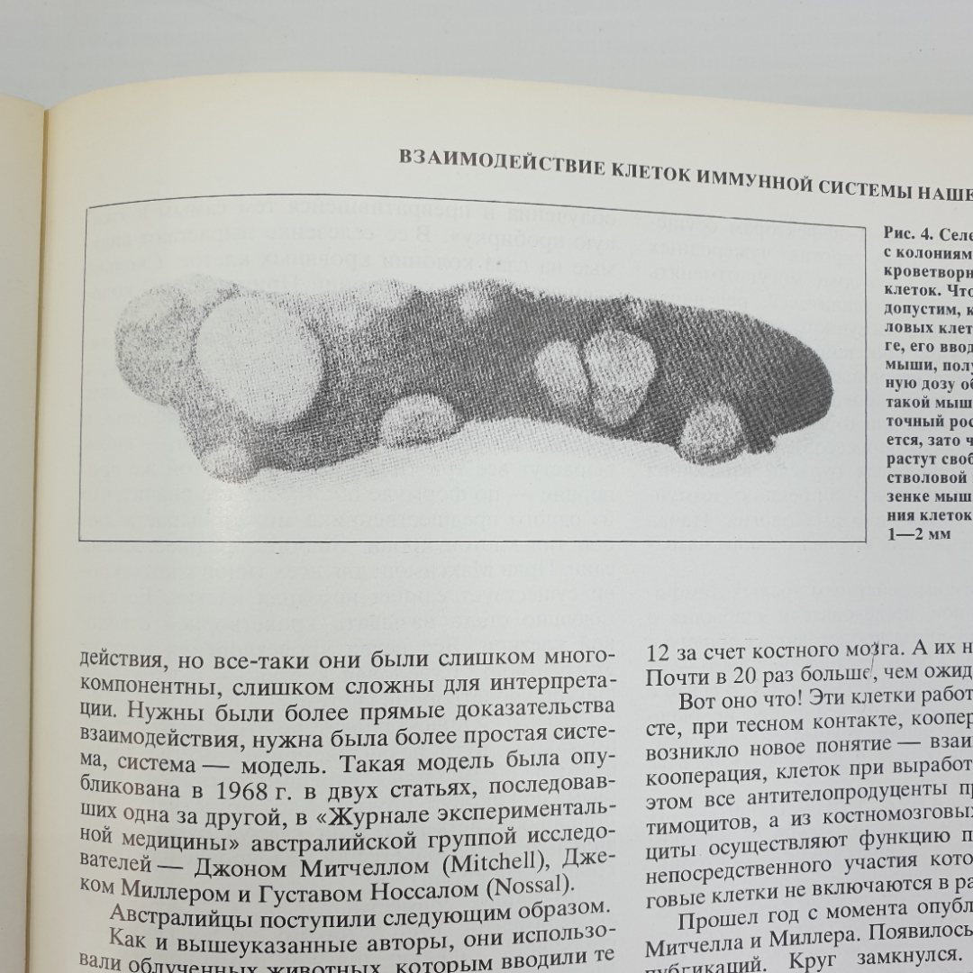 Международный ежегодник "Наука и человечество", издательство Знание, 1981г.. Картинка 9