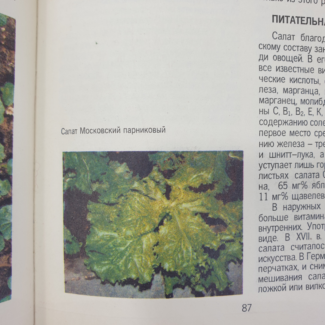 В.Ф. Пивоваров "Овощи России", Москва, 1994г.. Картинка 7