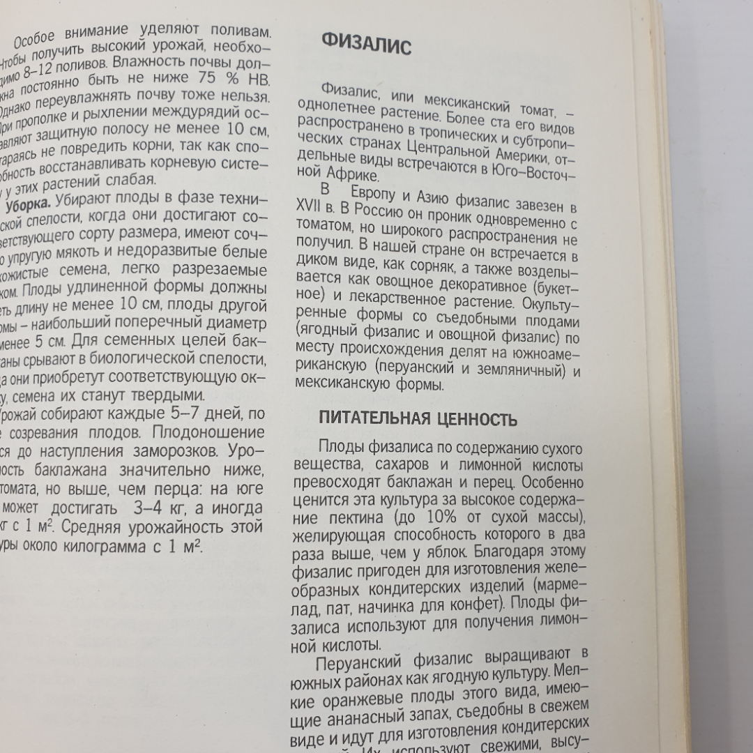 В.Ф. Пивоваров "Овощи России", Москва, 1994г.. Картинка 11