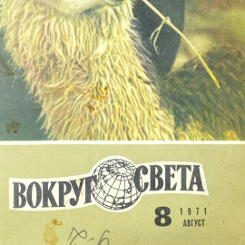 Картинка 7