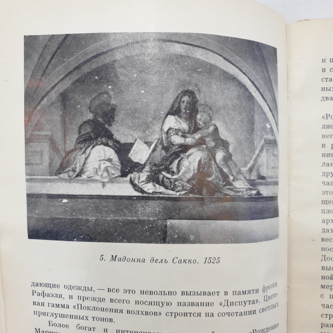 Н. Элиасберг "Андреа дель Сарто", Москва, Искусство, 1973г.. Картинка 11