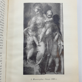 Н. Элиасберг "Андреа дель Сарто", Москва, Искусство, 1973г.. Картинка 9