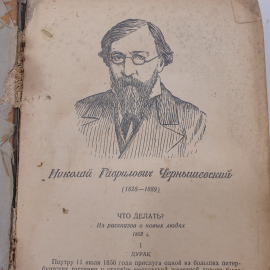 Н.Л. Бродский, И.Н. Кубиков "Русская литература. Хрестоматия для 9 класса средней школы. Часть II". Картинка 4