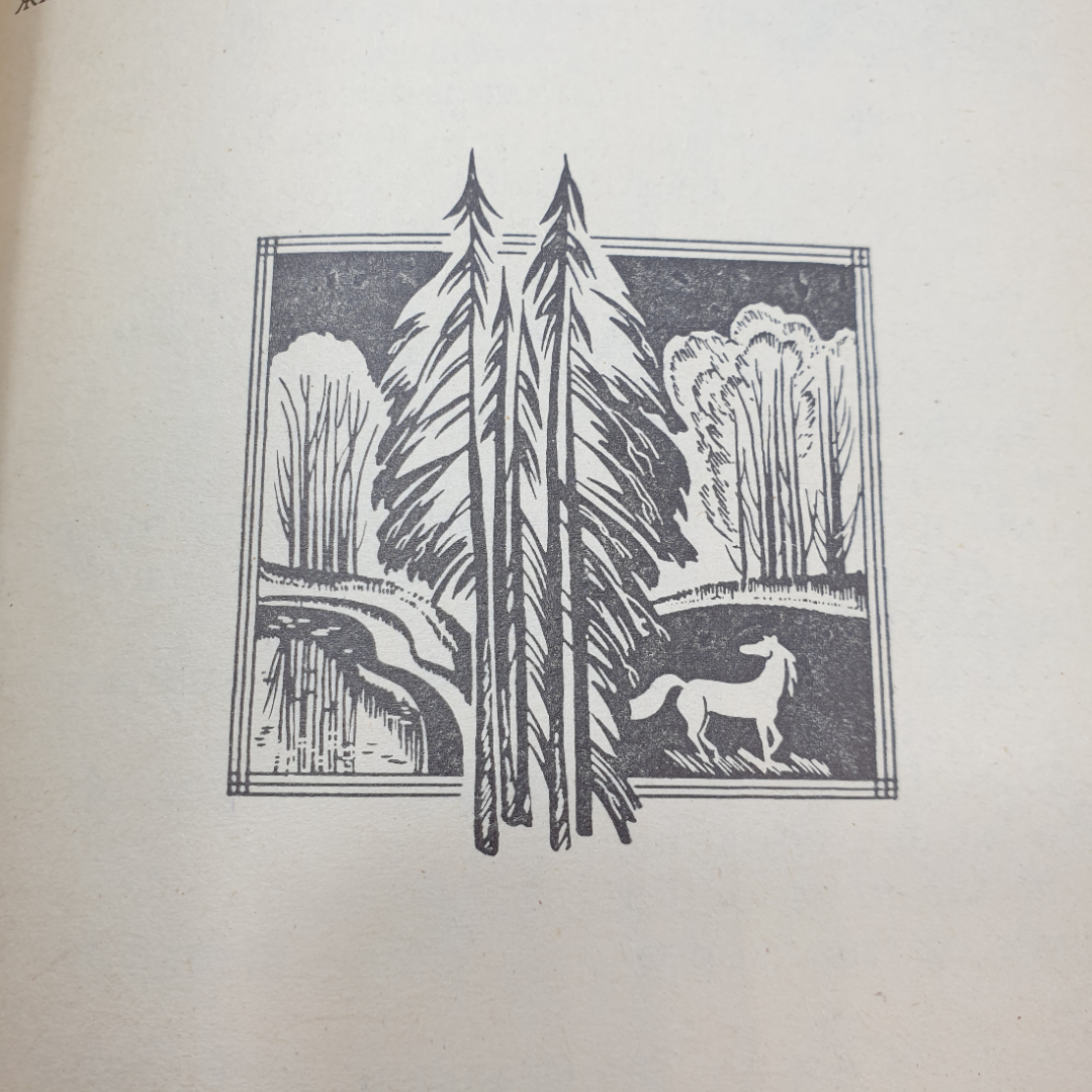 И.Ф. Панькин "Сказки", Тула, Приокское книжное издательство, 1992г.. Картинка 9