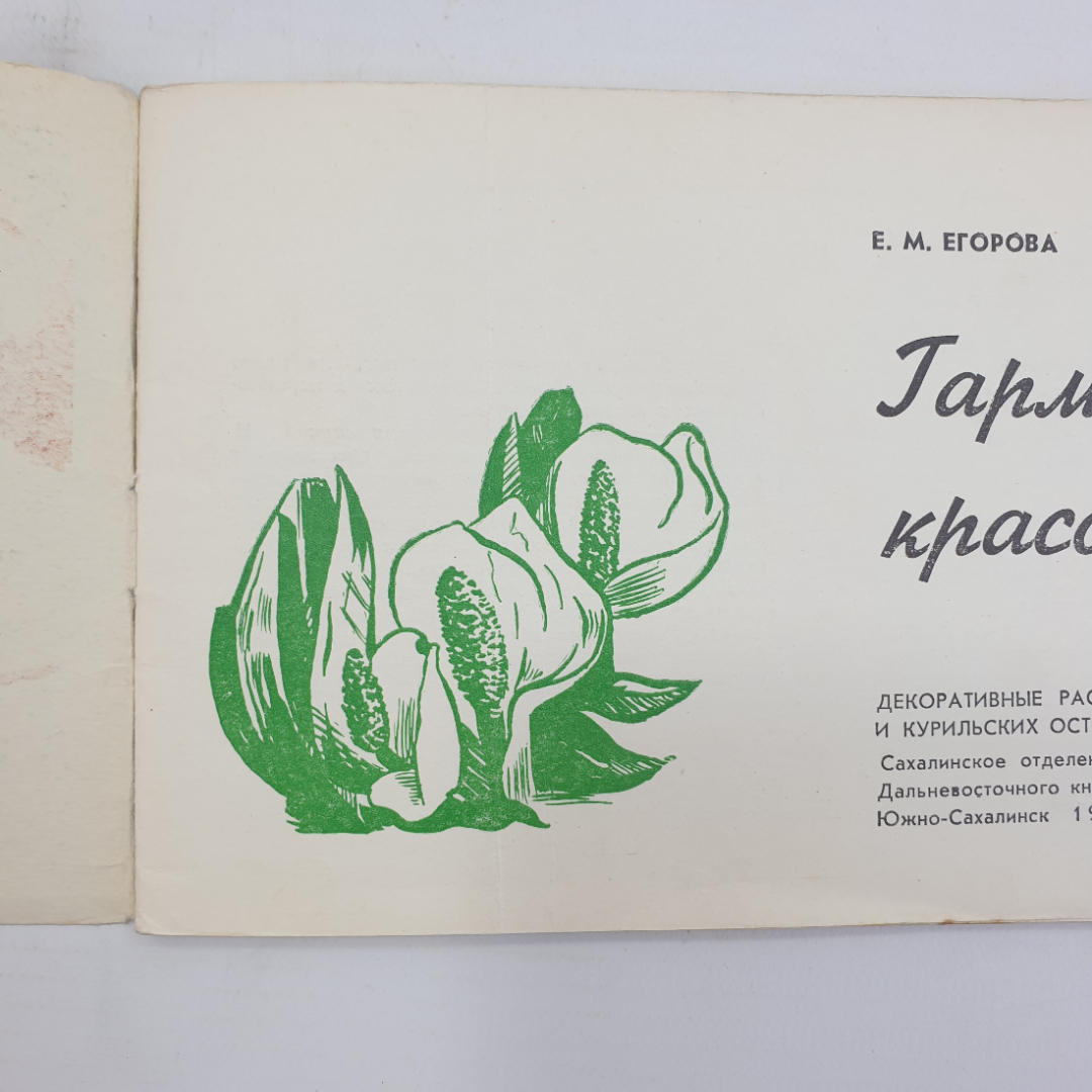 Е. Егорова "Гармония красок и форм", Южно-Сахалинск, 1976г.. Картинка 3