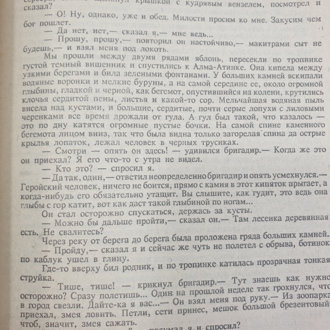 Ю. Домбровский "Хранитель древностей. Роман. Новеллы. Эссе", Известия, 1991г.. Картинка 5