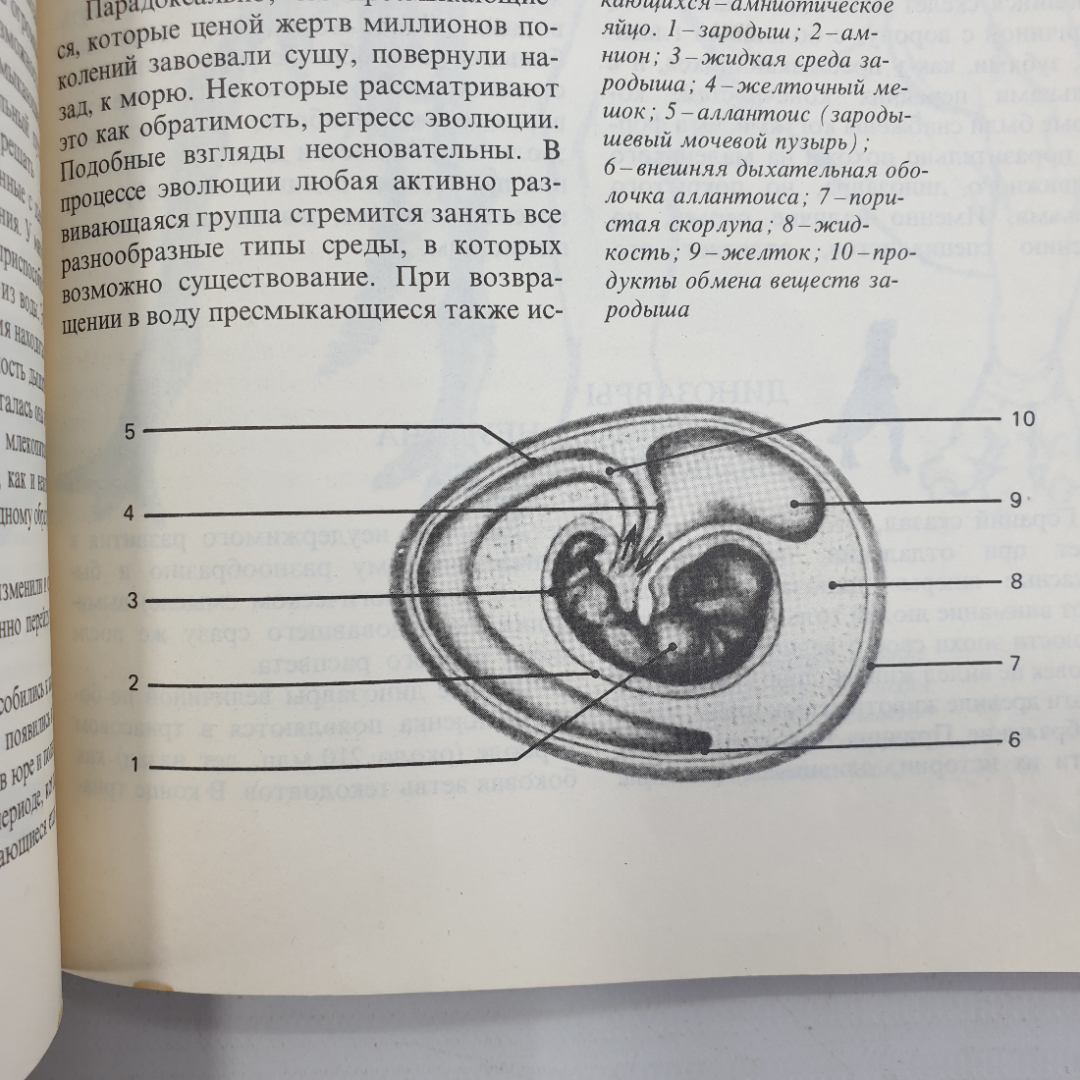 Т. Николов "Долгий путь жизни", Москва, издательство Мир, 1986г.. Картинка 3