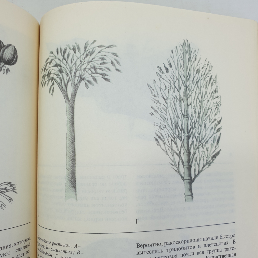 Т. Николов "Долгий путь жизни", Москва, издательство Мир, 1986г.. Картинка 6