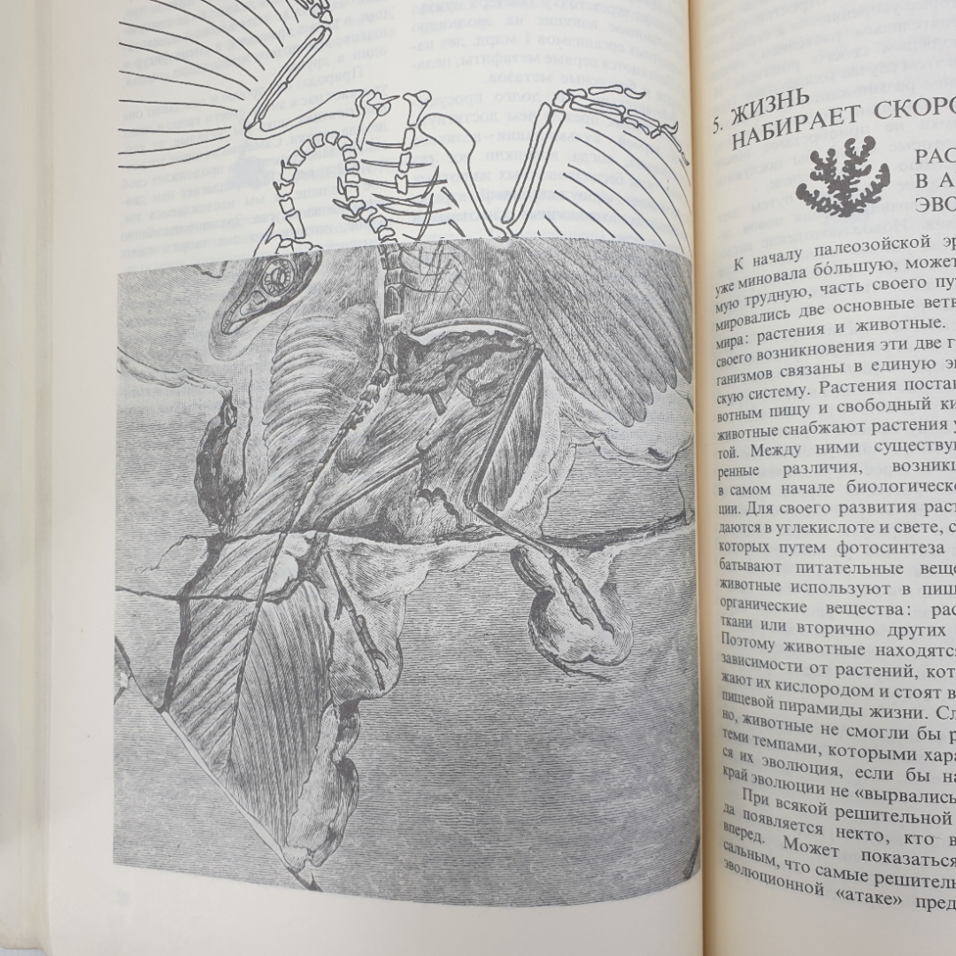 Т. Николов "Долгий путь жизни", Москва, издательство Мир, 1986г.. Картинка 7