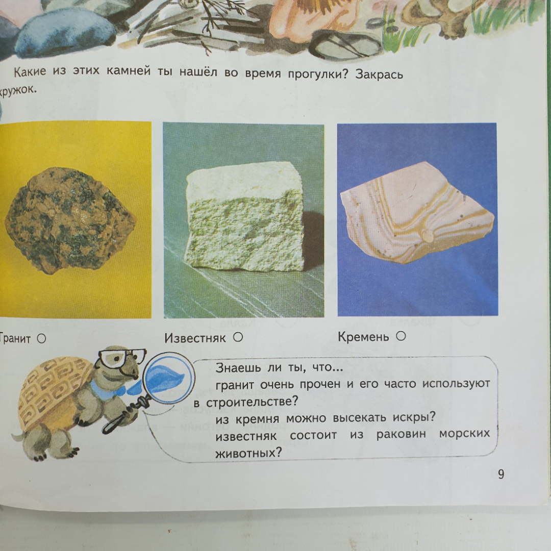 А.А. Плешаков "Мир вокруг нас. 1 класс", издательство Просвещение, 1999г.. Картинка 7