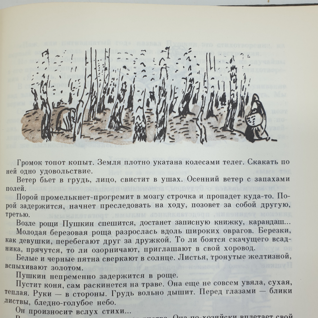 И. Смольников "Болдинская осень", Ленинград, издательство Детская литература, 1986г.. Картинка 5