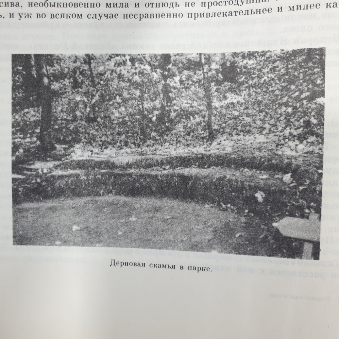 И. Смольников "Болдинская осень", Ленинград, издательство Детская литература, 1986г.. Картинка 8