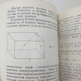 Д.С. Фаермарк "Задача пришла с картины", издательство Наука, Москва, 1974г.. Картинка 8