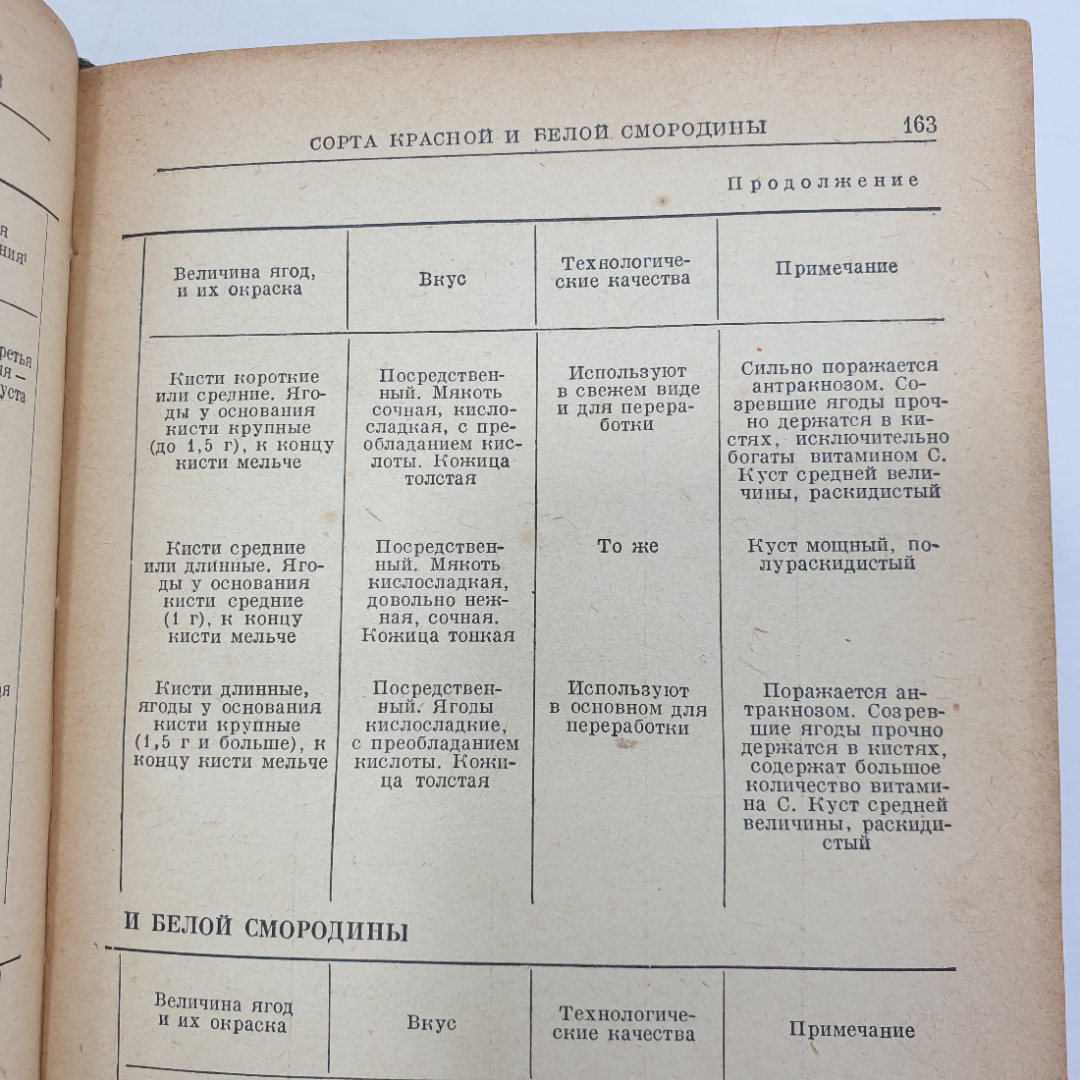 Книга "Справочник садовода", Москва, 1956г.. Картинка 7