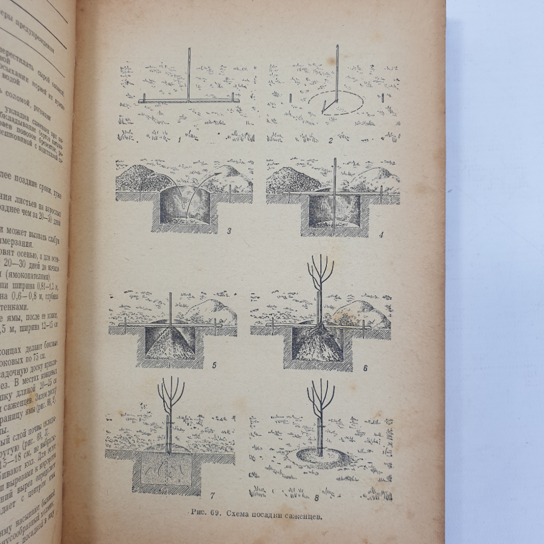 Книга "Справочник садовода", Москва, 1956г.. Картинка 10